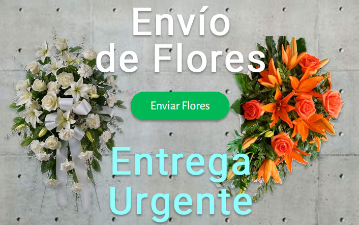 Envio de flores urgente a Funeraria Reus